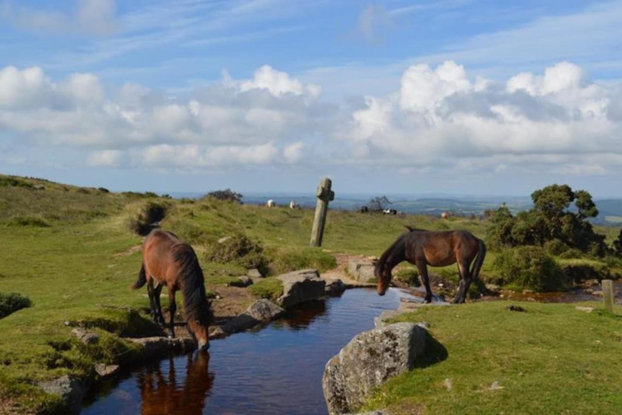 Morwenna Appartamento Dawlish Esterno foto